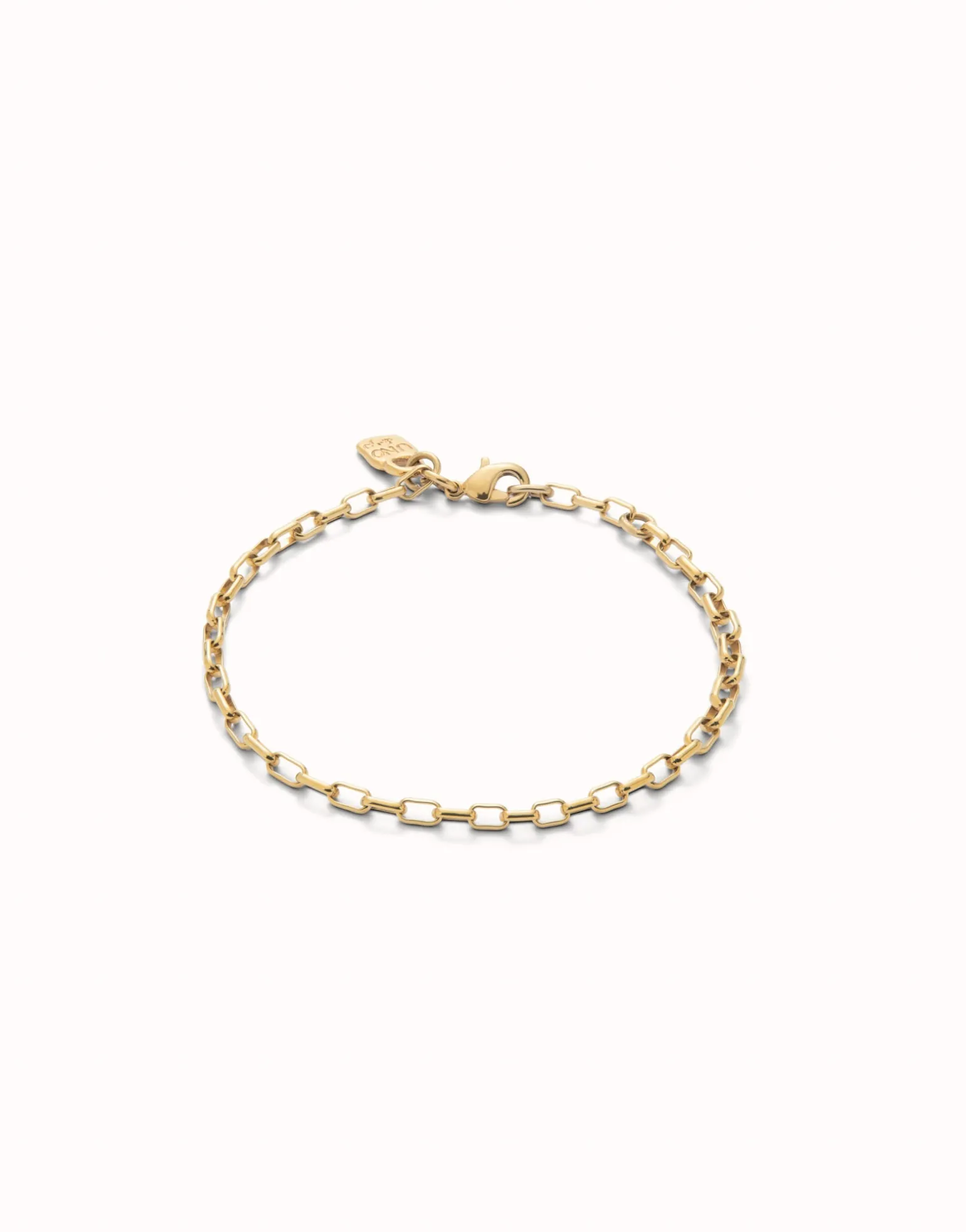 Mid-sized link charm chain bracelet