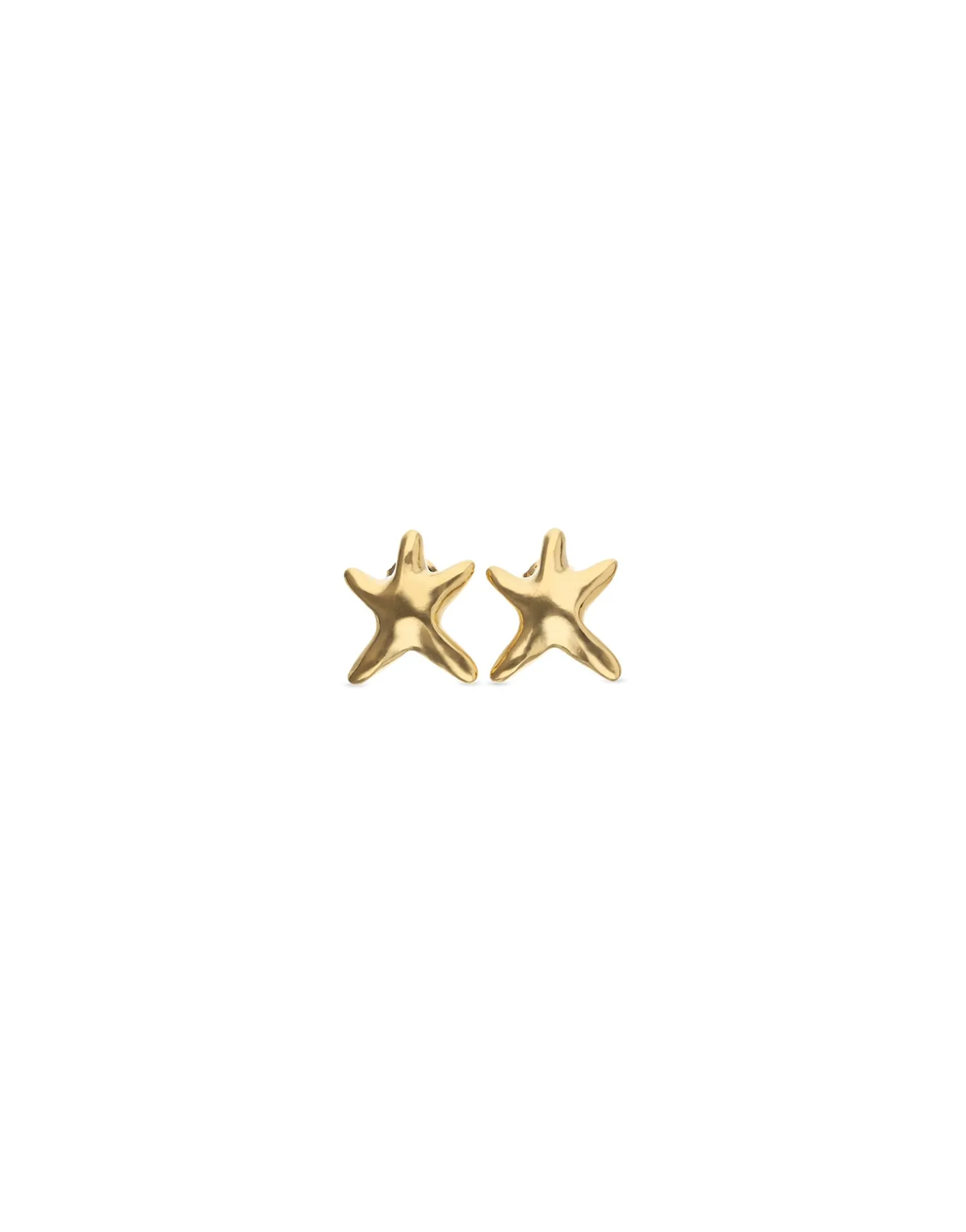 Small starfish earrings